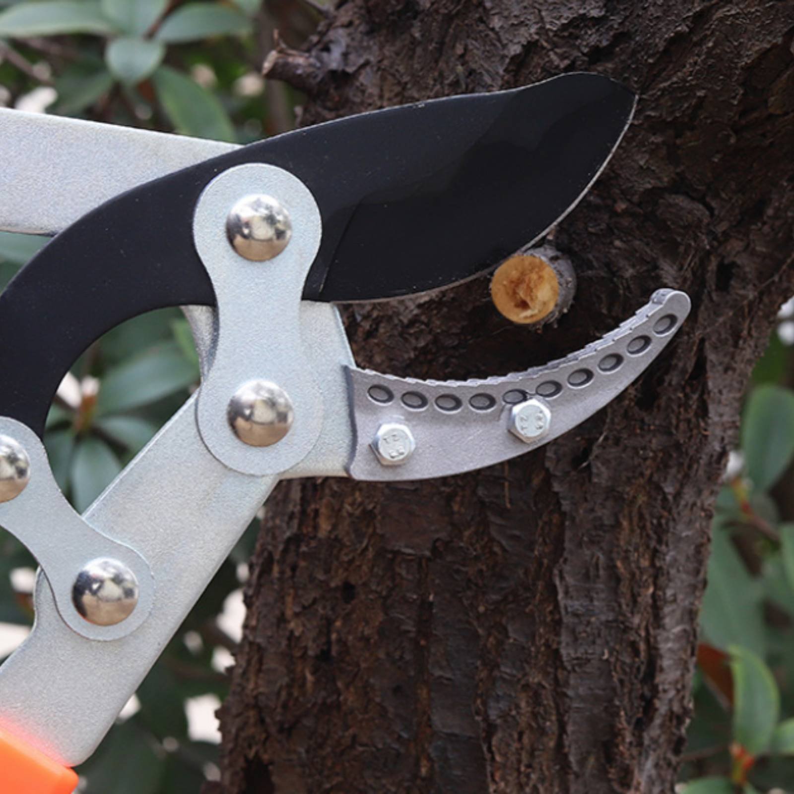 Telescopic Branch Pruners Shar - Gardening Tools Of reseña y precio