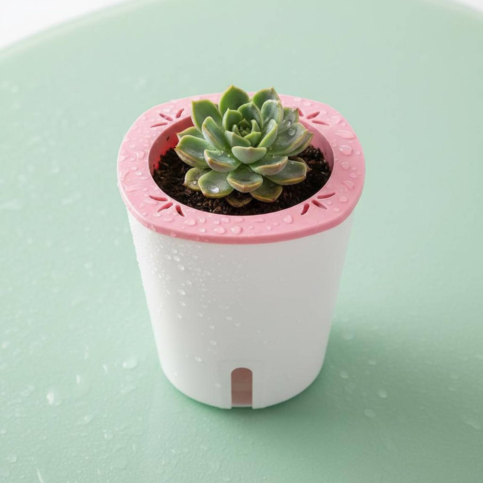 Self Watering Planter Large Si - Gardening Tools Of reseña y precio