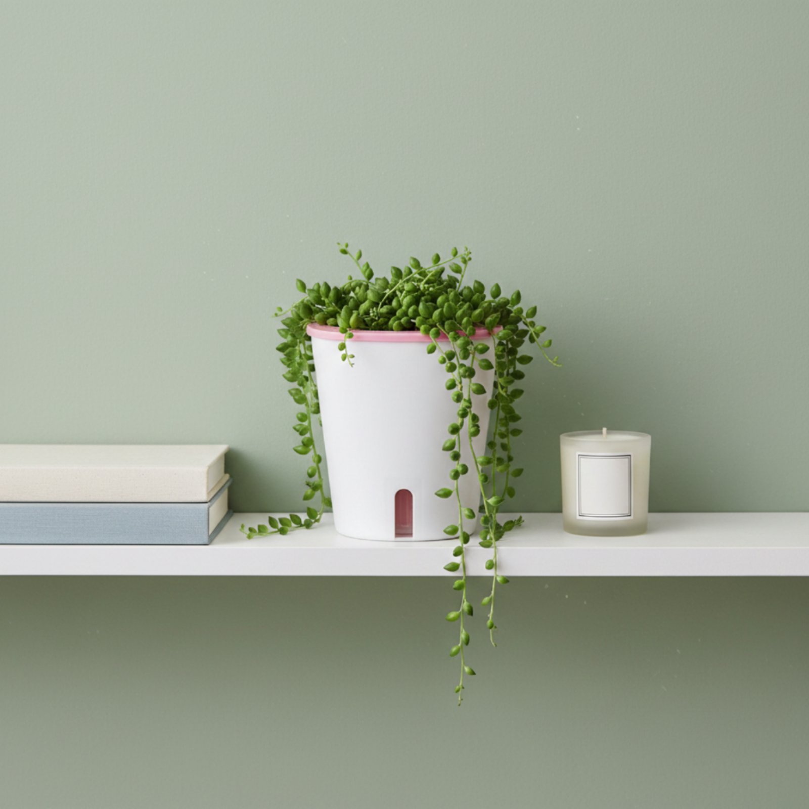 Self Watering Planter Large Si - Gardening Tools Of reseña y precio