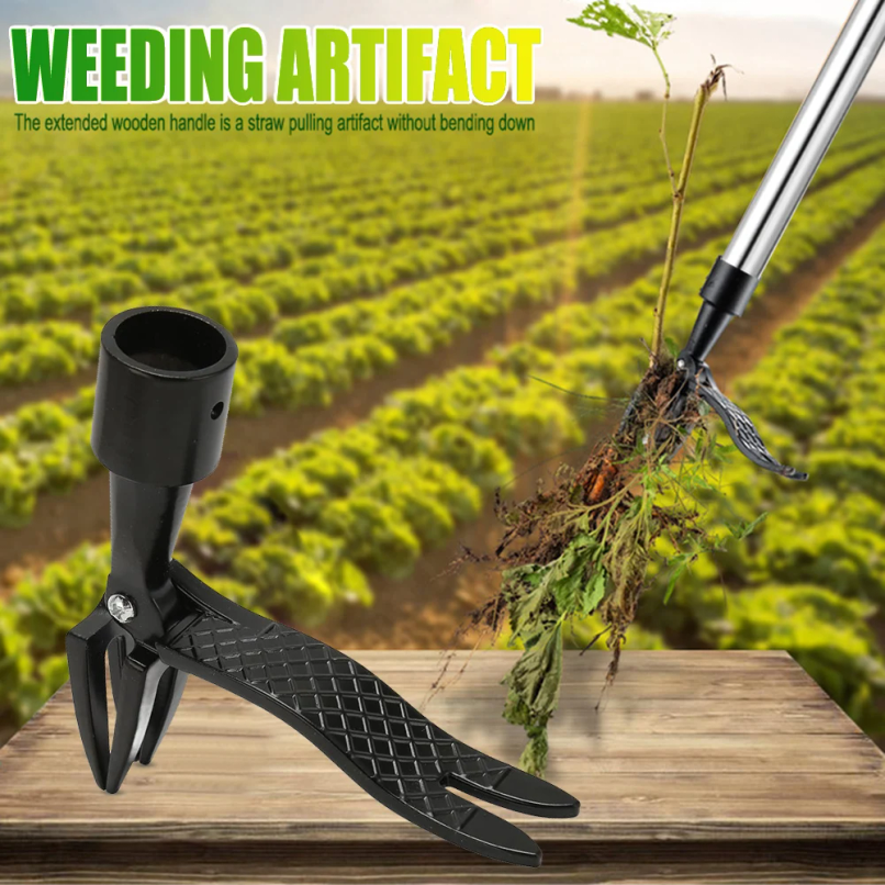 Stand Up Weed Puller Claw Tool - Grass Seed Spreader reseña y precio