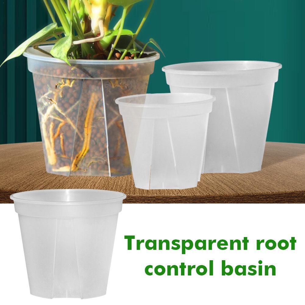 Transparent Plastic Pots Root  - Orchid Potting Mix reseña y precio