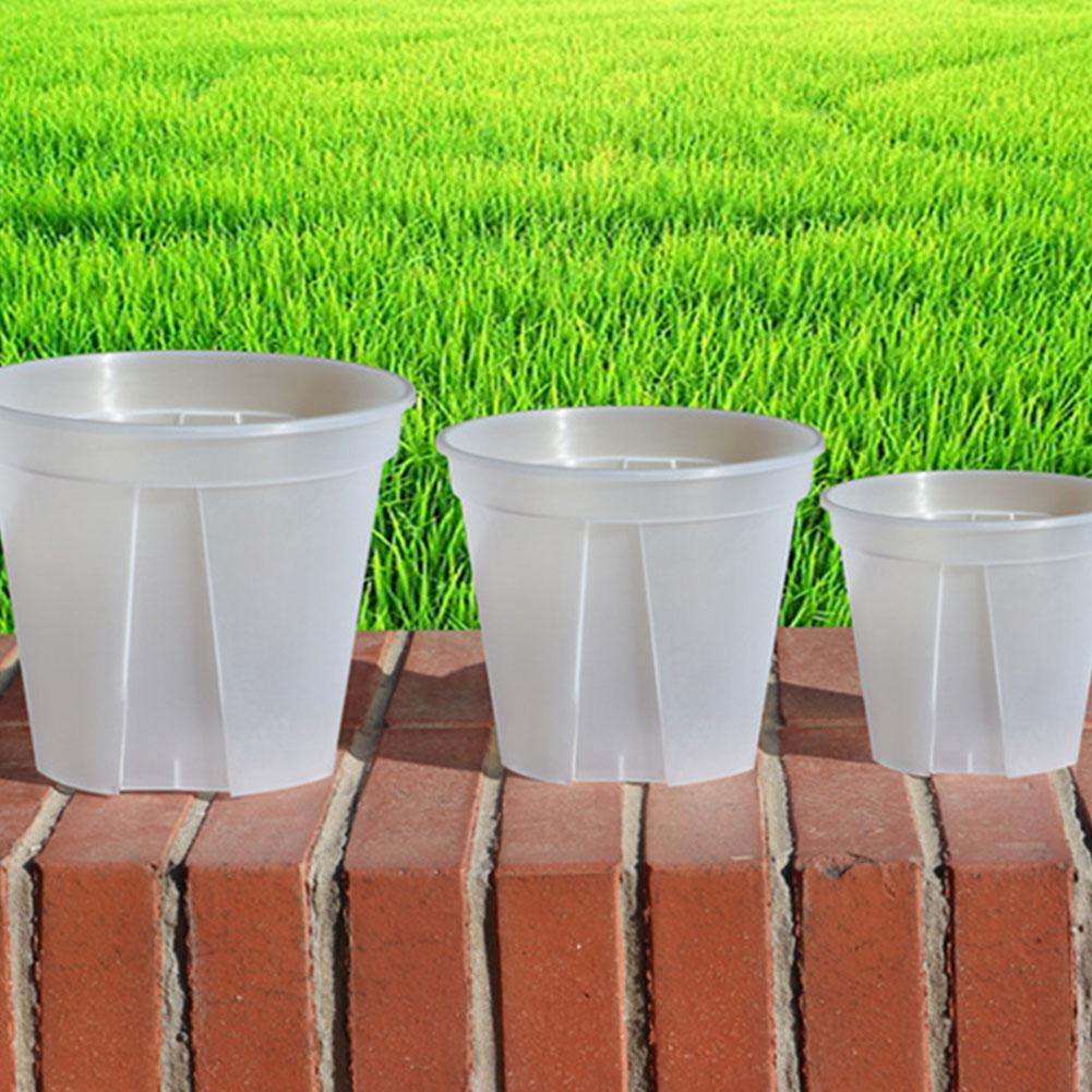 Transparent Plastic Pots Root  - Orchid Potting Mix reseña y precio