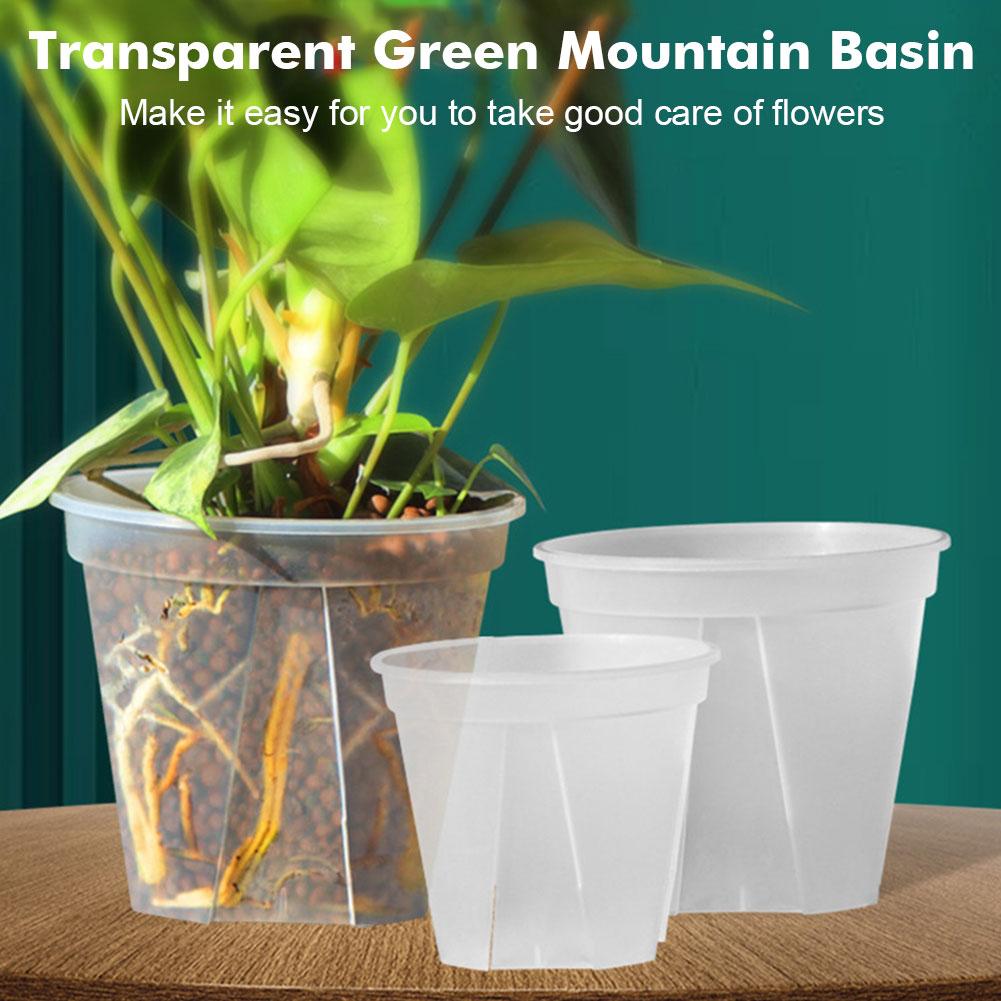 Transparent Plastic Pots Root  - Orchid Potting Mix reseña y precio
