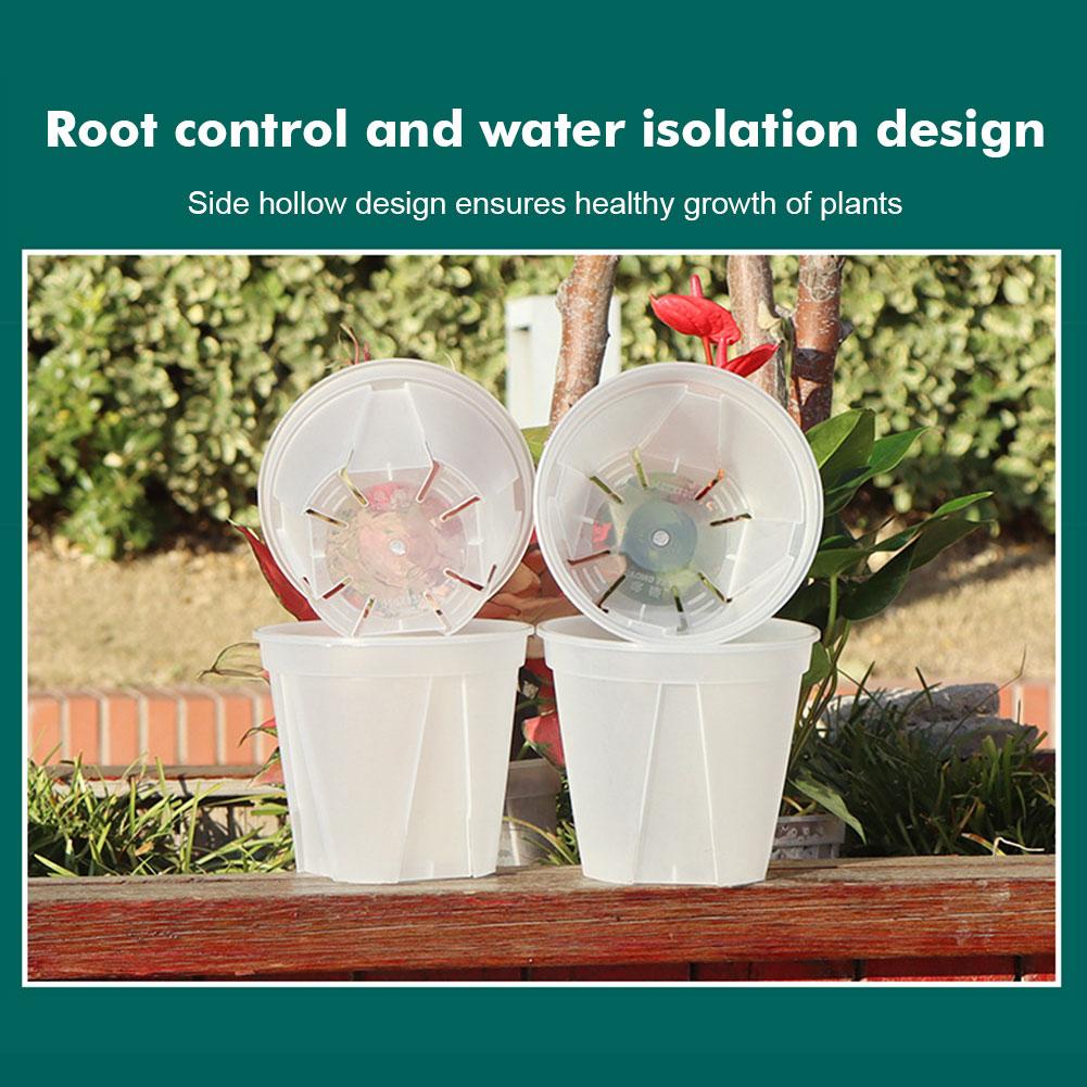 Transparent Plastic Pots Root  - Orchid Potting Mix reseña y precio