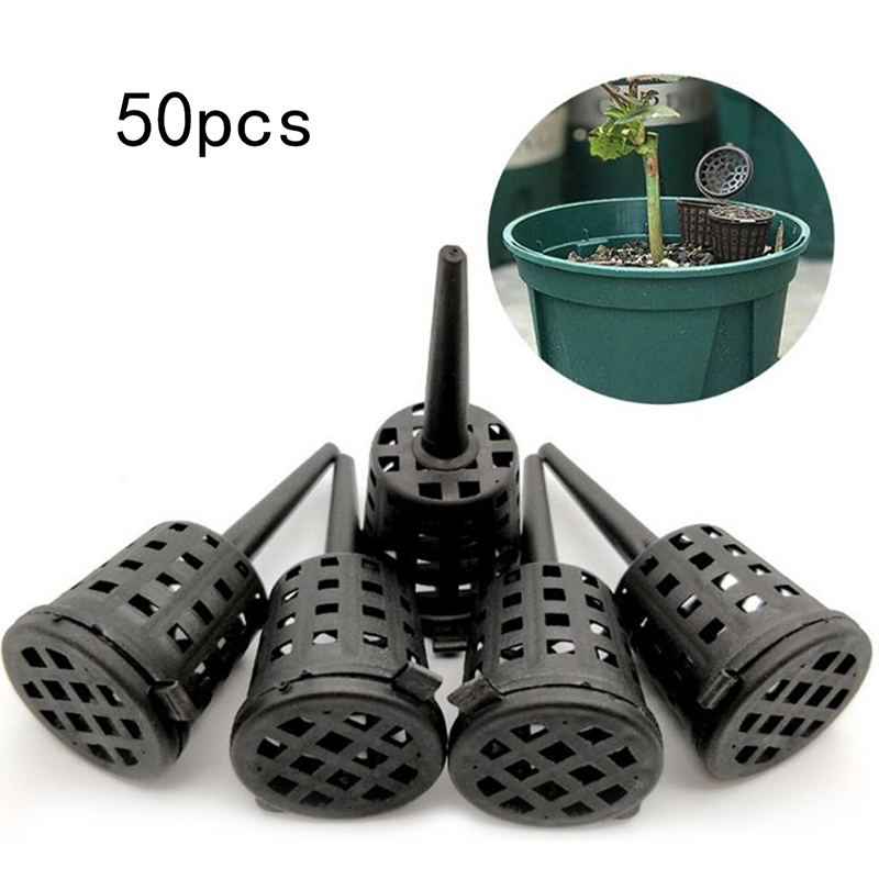 50 Pcs/pack Plants Fertilizer  - Orchid Potting Mix reseña y precio