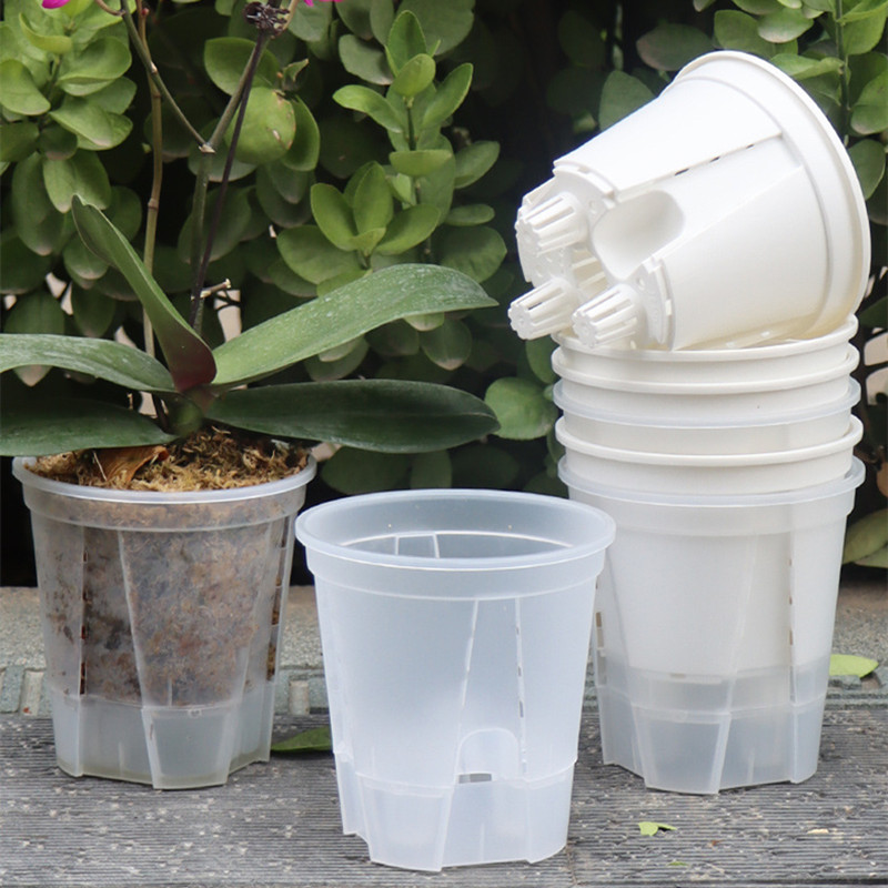 5pcs Transparent Orchid Pot wi - Orchid Potting Mix reseña y precio