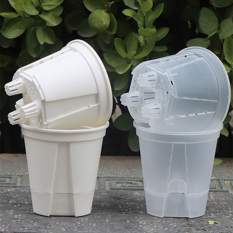 5pcs Transparent Orchid Pot wi - Orchid Potting Mix reseña y precio