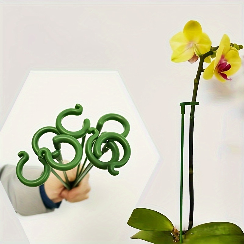 6Pcs Green Plastic Plant Suppo - Orchid Potting Mix reseña y precio