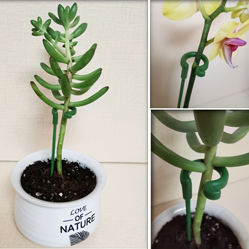 6Pcs Green Plastic Plant Suppo - Orchid Potting Mix reseña y precio