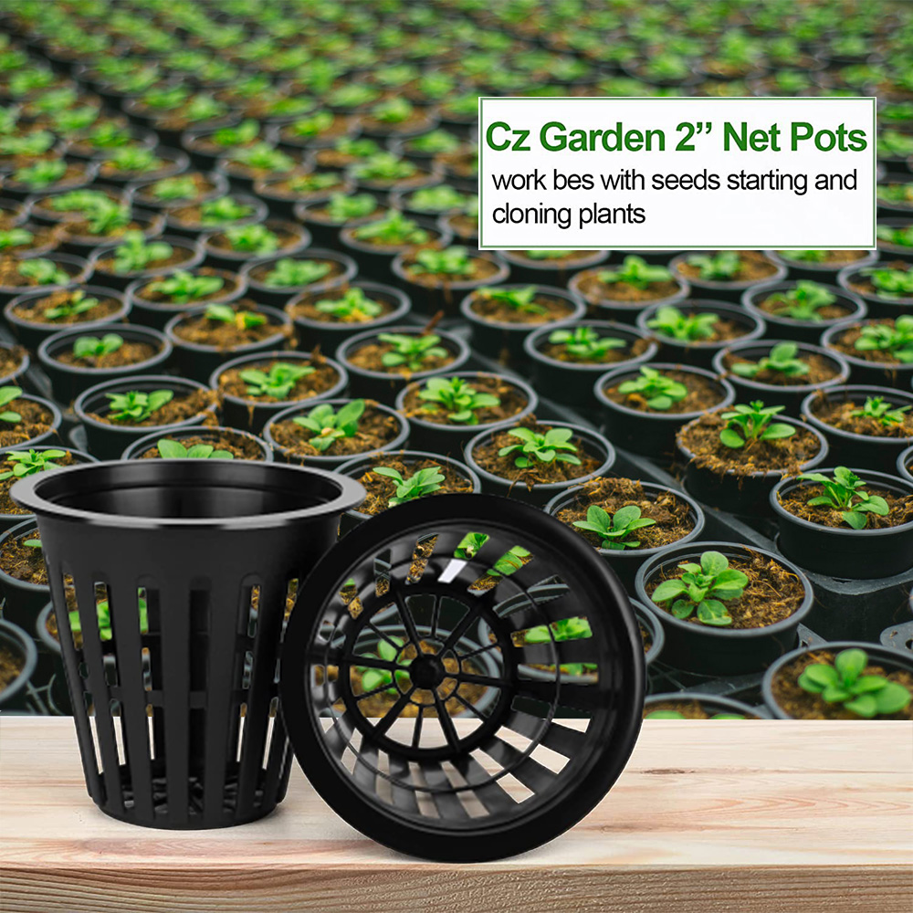 2inch Garden Nursery Pots Plan - Orchid Potting Mix reseña y precio
