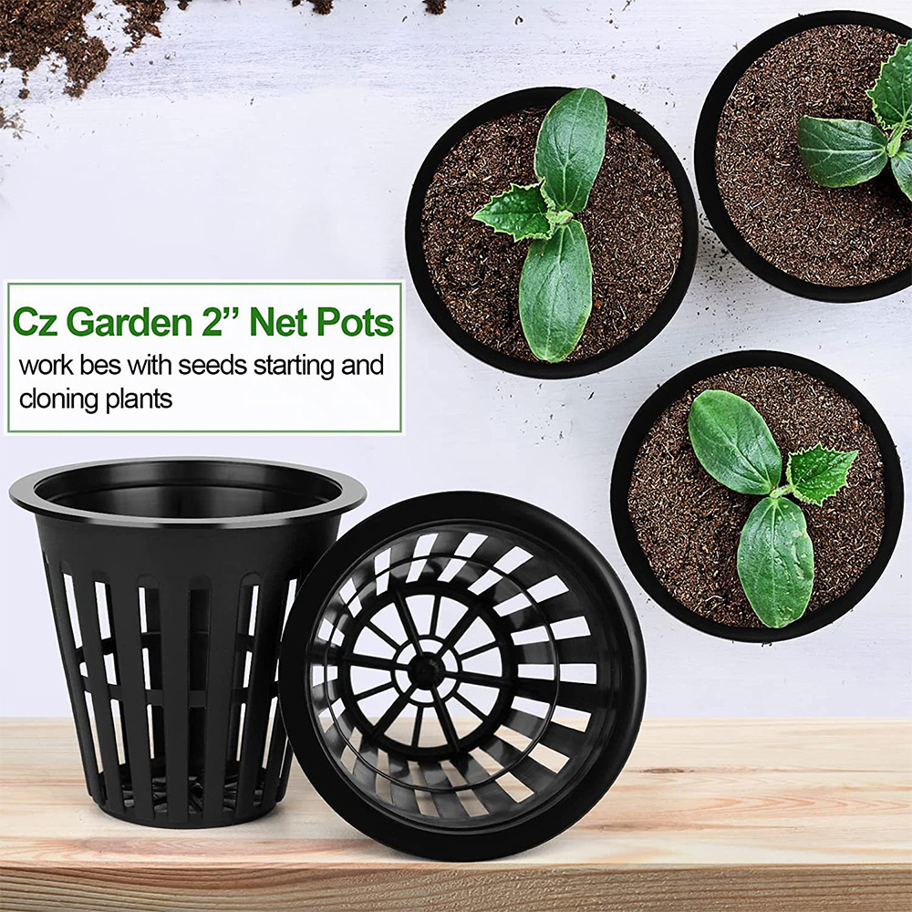 2inch Garden Nursery Pots Plan - Orchid Potting Mix reseña y precio