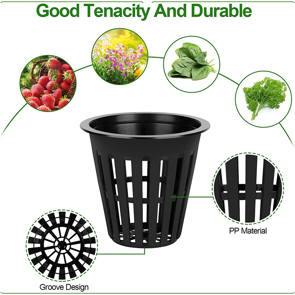 2inch Garden Nursery Pots Plan - Orchid Potting Mix reseña y precio